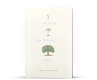 HOW DOES SANCTIFICATION WORK?